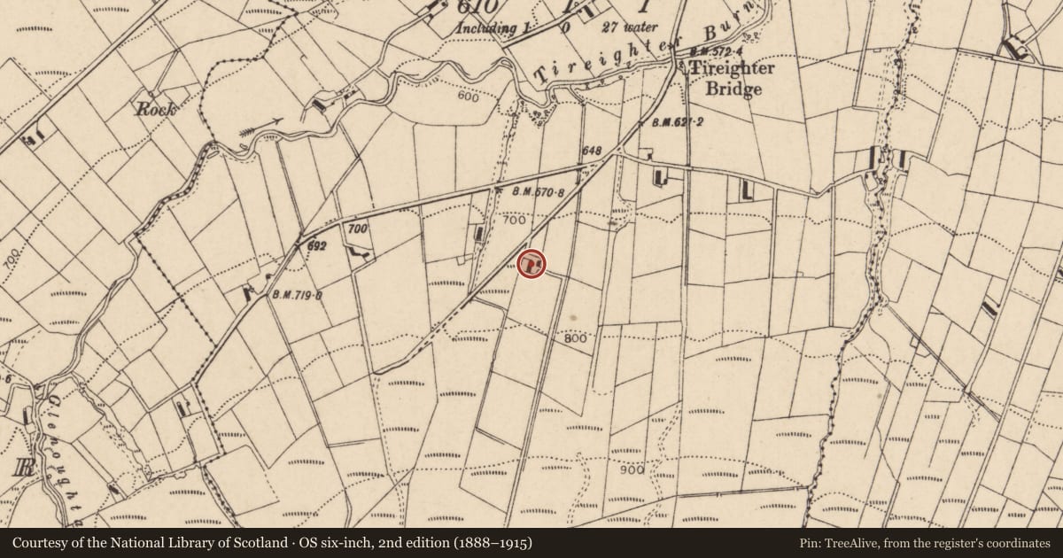 Ordnance Survey six-inch map, 2nd edition (1888–1915) covering the location of House, Tireighter, Derry City and Strabane, with a pin at the register's coordinates