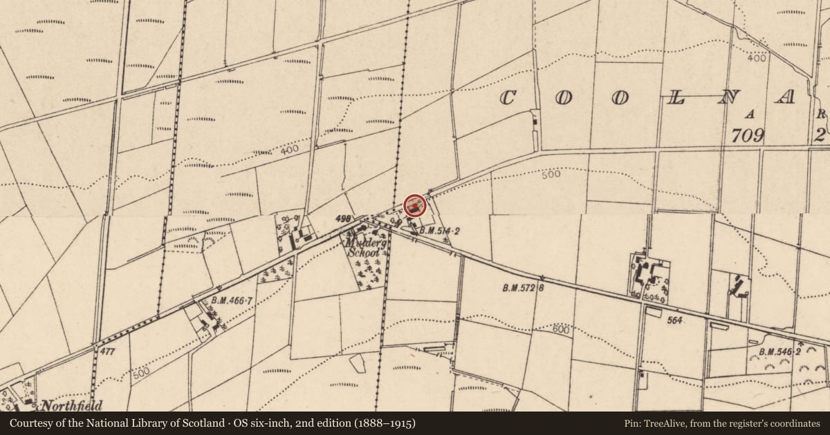 Ordnance Survey six-inch map, 2nd edition (1888–1915) covering the location of Former Fishmongers Dispensary, Coolnacolpagh, Derry City and Strabane, with a pin at the register's coordinates