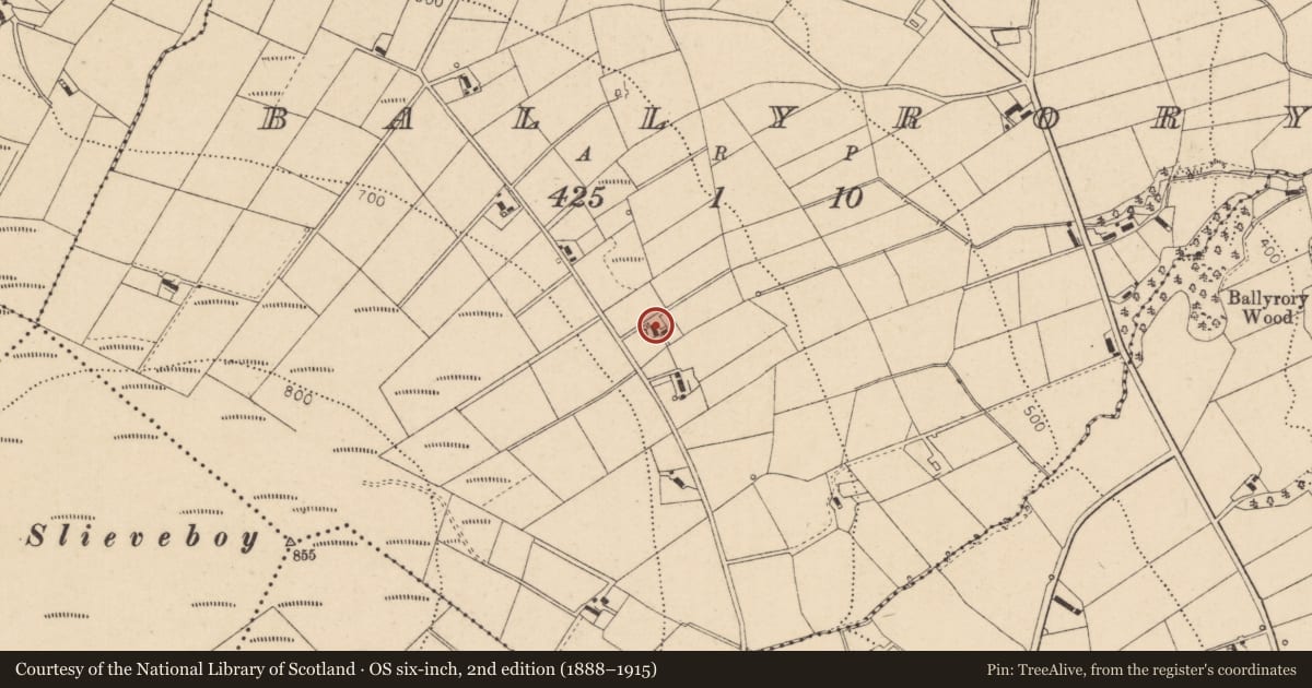 Ordnance Survey six-inch map, 2nd edition (1888–1915) covering the location of House, Ballyrory, Derry City and Strabane, with a pin at the register's coordinates
