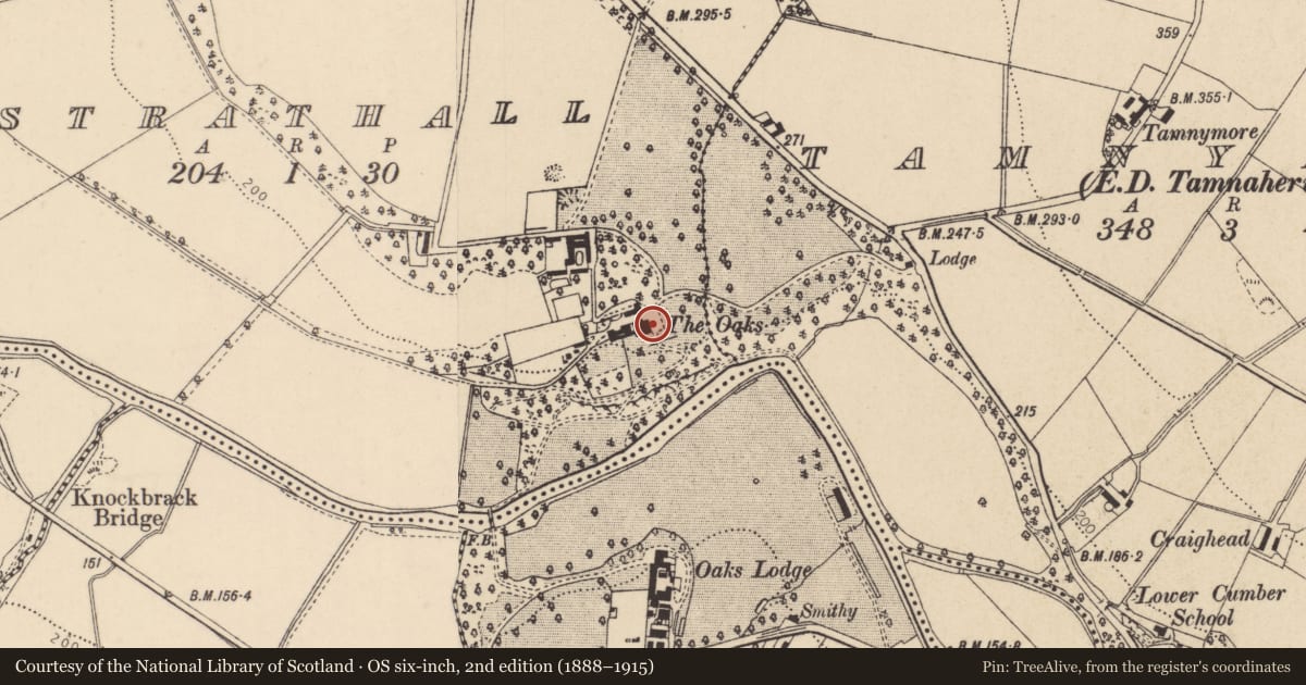 Ordnance Survey six-inch map, 2nd edition (1888–1915) covering the location of The Oaks, Derry City and Strabane, with a pin at the register's coordinates