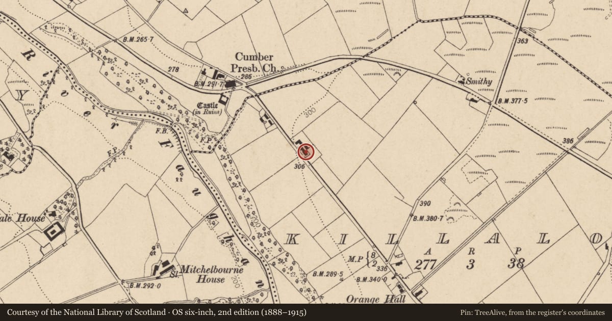 Ordnance Survey six-inch map, 2nd edition (1888–1915) covering the location of 274 Glenshane Road, Killaloo, Derry City and Strabane, with a pin at the register's coordinates