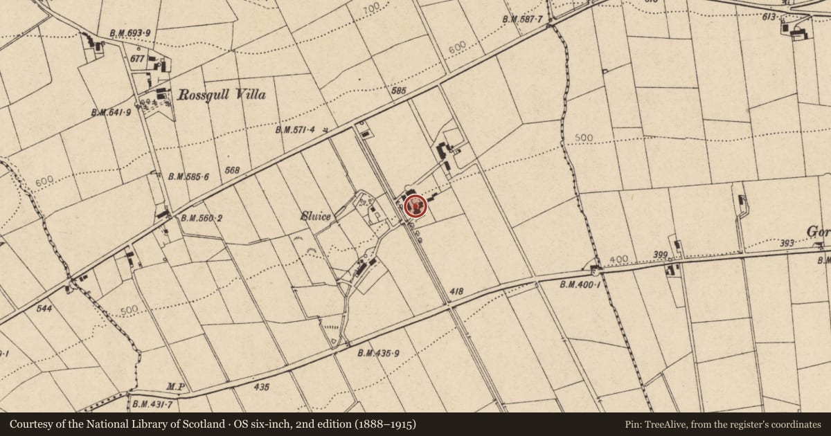 Ordnance Survey six-inch map, 2nd edition (1888–1915) covering the location of 126 Foreglen Road, Ballymaclanigan, Derry City and Strabane, with a pin at the register's coordinates