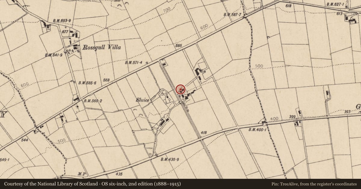 Ordnance Survey six-inch map, 2nd edition (1888–1915) covering the location of Outbuildings, Ballymaclanigan, Derry City and Strabane, with a pin at the register's coordinates