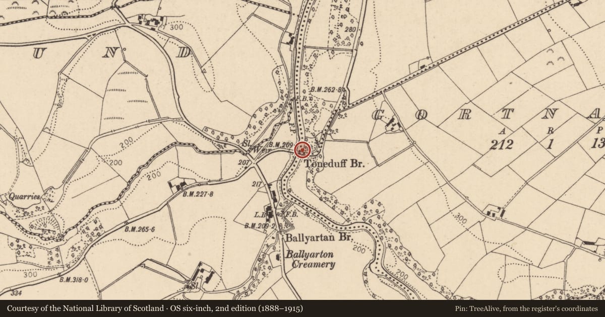 Ordnance Survey six-inch map, 2nd edition (1888–1915) covering the location of Toneduff Bridge, Ballyartan/Gortnaran, Derry City and Strabane, with a pin at the register's coordinates