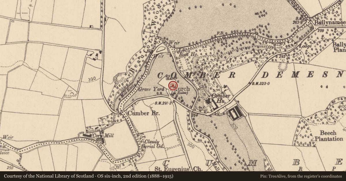 Ordnance Survey six-inch map, 2nd edition (1888–1915) covering the location of Graveyard at Junction, Derry City and Strabane, with a pin at the register's coordinates