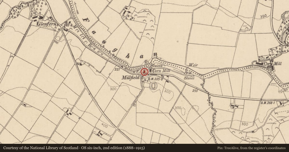 Ordnance Survey six-inch map, 2nd edition (1888–1915) covering the location of Millfield, Derry City and Strabane, with a pin at the register's coordinates