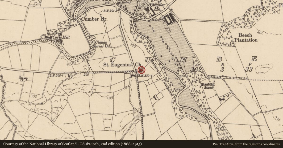 Ordnance Survey six-inch map, 2nd edition (1888–1915) covering the location of St. Eugenius Church, Cumber, Derry City and Strabane, with a pin at the register's coordinates