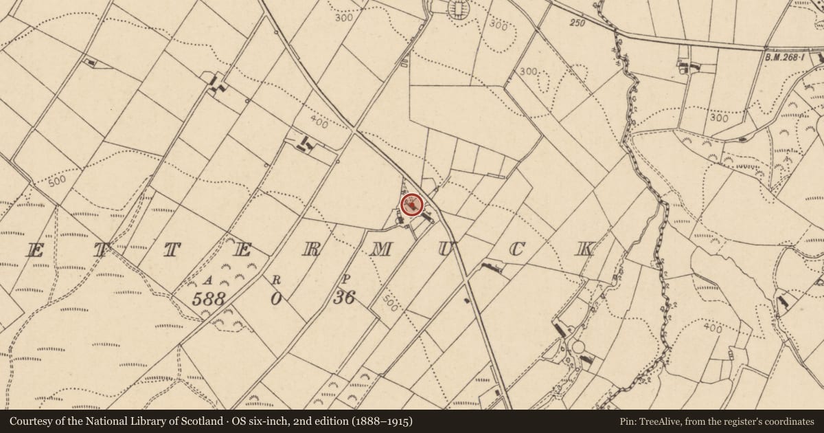 Ordnance Survey six-inch map, 2nd edition (1888–1915) covering the location of Lettermuck TD, Derry City and Strabane, with a pin at the register's coordinates