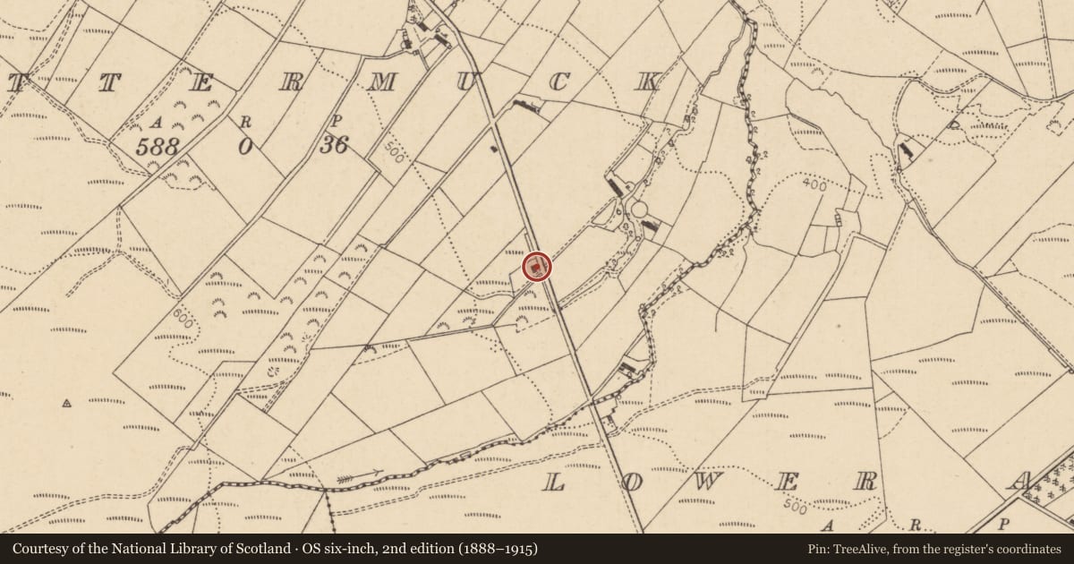 Ordnance Survey six-inch map, 2nd edition (1888–1915) covering the location of Lettermuck TD, Derry City and Strabane, with a pin at the register's coordinates
