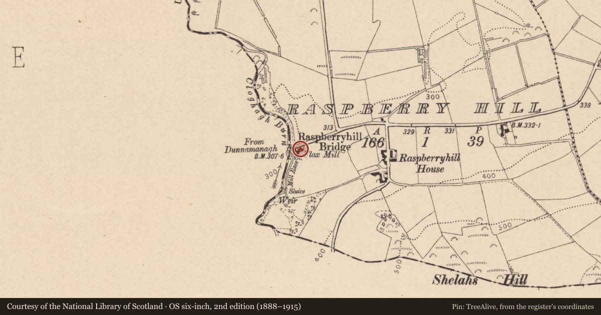 Ordnance Survey six-inch map, 2nd edition (1888–1915) covering the location of Flax Mill, Derry City and Strabane, with a pin at the register's coordinates