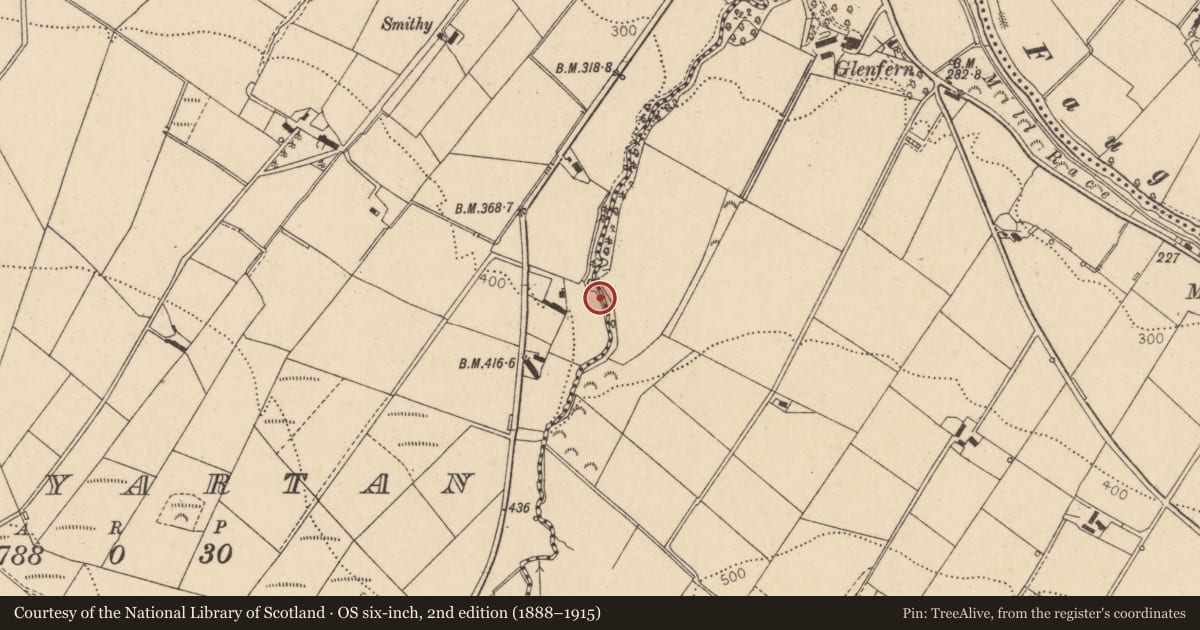 Ordnance Survey six-inch map, 2nd edition (1888–1915) covering the location of Scutch Mill, Ballyartan, Derry City and Strabane, with a pin at the register's coordinates