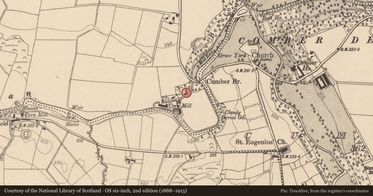 Ordnance Survey six-inch map, 2nd edition (1888–1915) covering the location of Dwelling House 2, Derry City and Strabane, with a pin at the register's coordinates