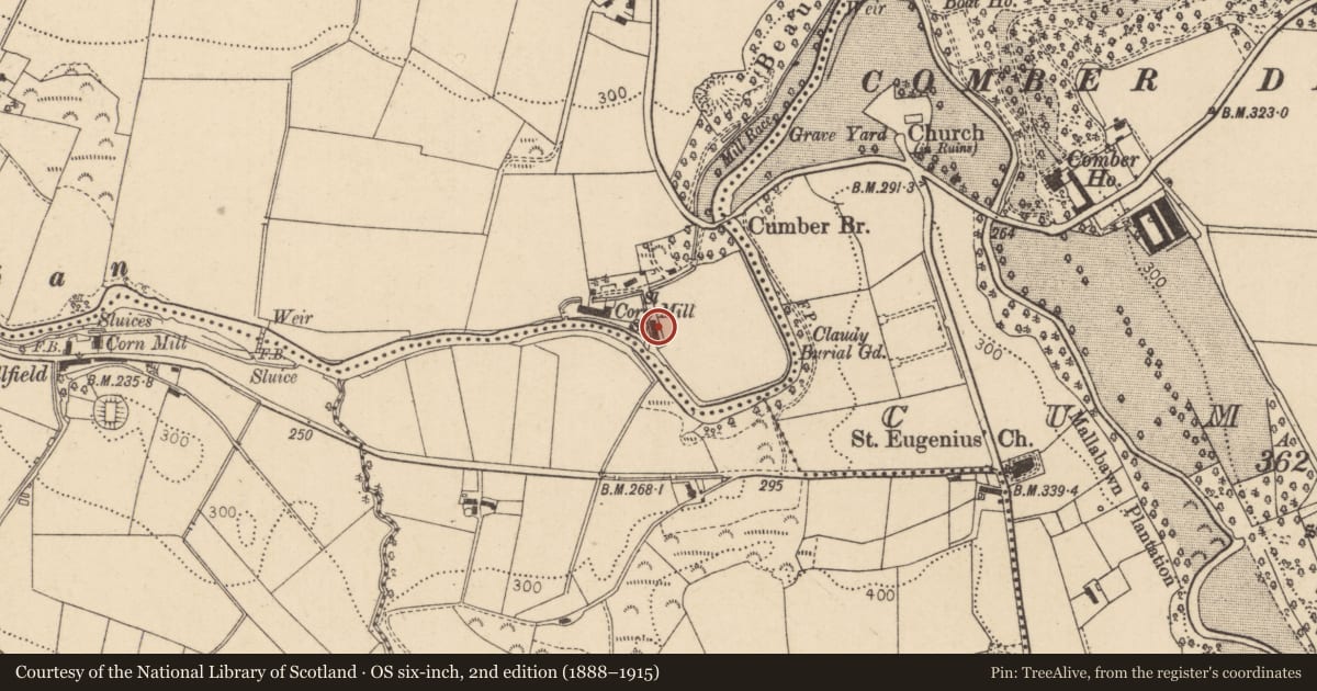 Ordnance Survey six-inch map, 2nd edition (1888–1915) covering the location of Flax Mill, Derry City and Strabane, with a pin at the register's coordinates