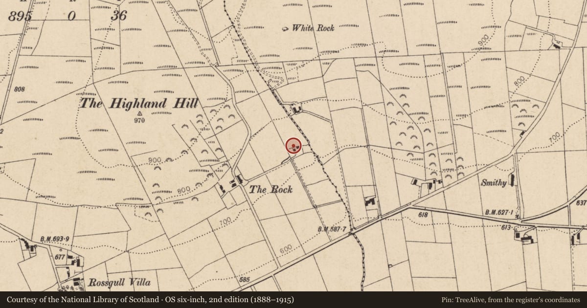 Ordnance Survey six-inch map, 2nd edition (1888–1915) covering the location of House, Ballymaclanigan, Derry City and Strabane, with a pin at the register's coordinates