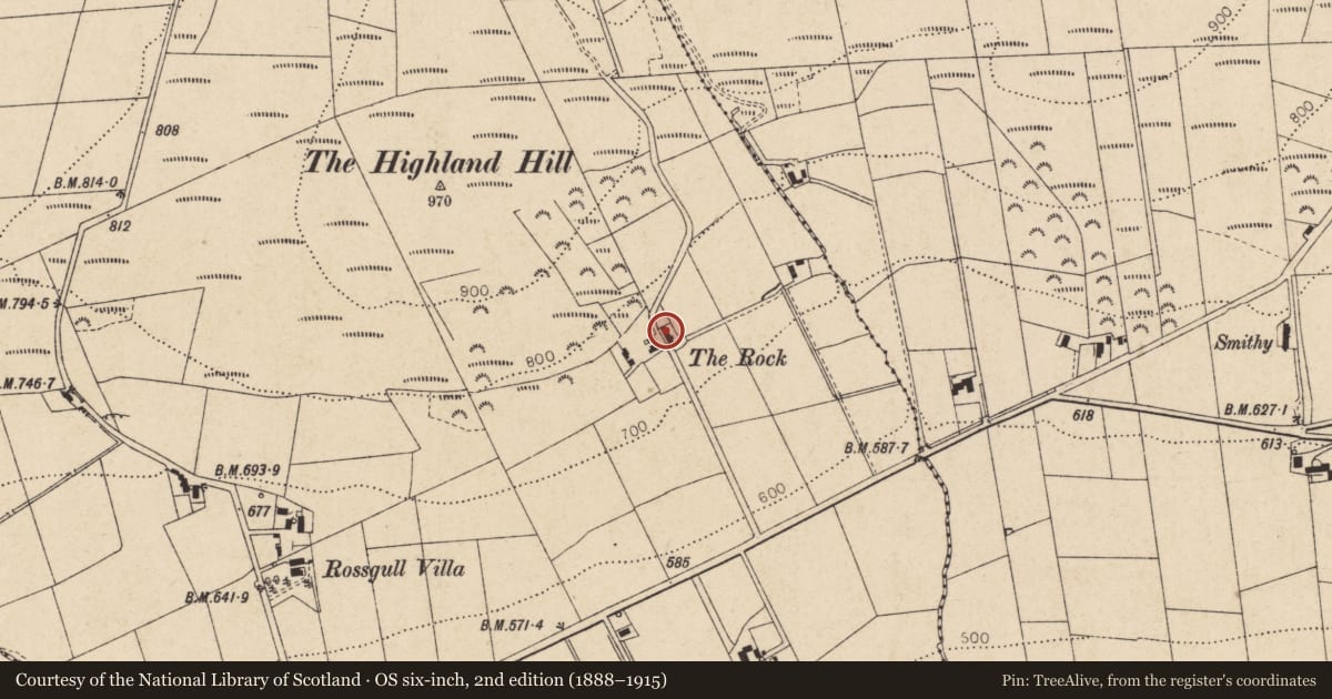 Ordnance Survey six-inch map, 2nd edition (1888–1915) covering the location of "The Rock", Ballymaclanigan, Derry City and Strabane, with a pin at the register's coordinates