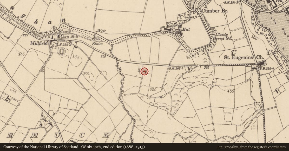Ordnance Survey six-inch map, 2nd edition (1888–1915) covering the location of 24 Lower Ballyarton Road, Lower Alla, Derry City and Strabane, with a pin at the register's coordinates