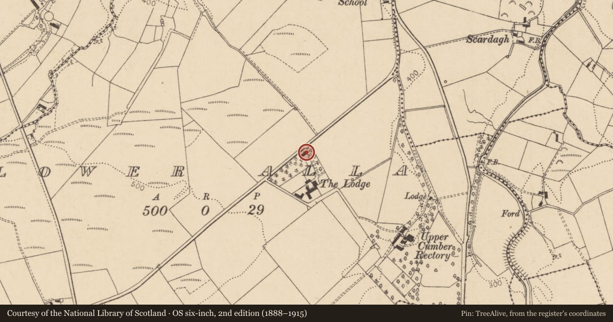Ordnance Survey six-inch map, 2nd edition (1888–1915) covering the location of 110 Cumber Road, Lower Alla, Derry City and Strabane, with a pin at the register's coordinates
