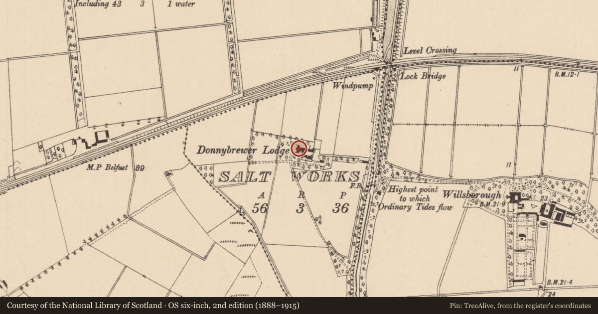 Ordnance Survey six-inch map, 2nd edition (1888–1915) covering the location of Donnybrewer Lodge, Derry City and Strabane, with a pin at the register's coordinates