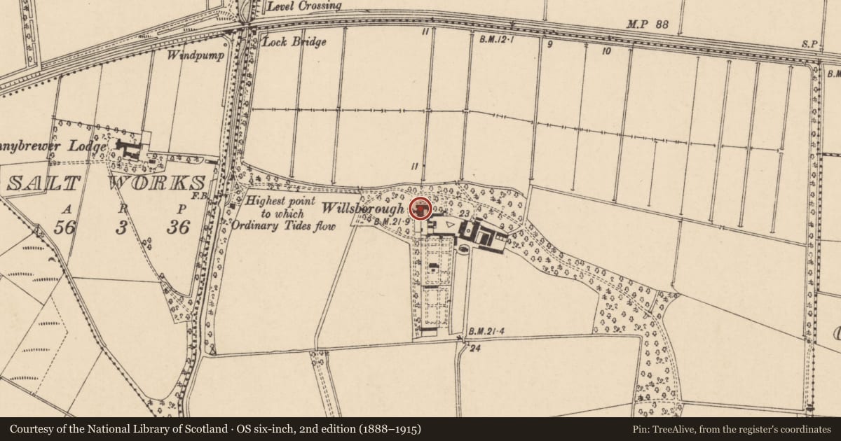 Ordnance Survey six-inch map, 2nd edition (1888–1915) covering the location of Willsborough House, Derry City and Strabane, with a pin at the register's coordinates