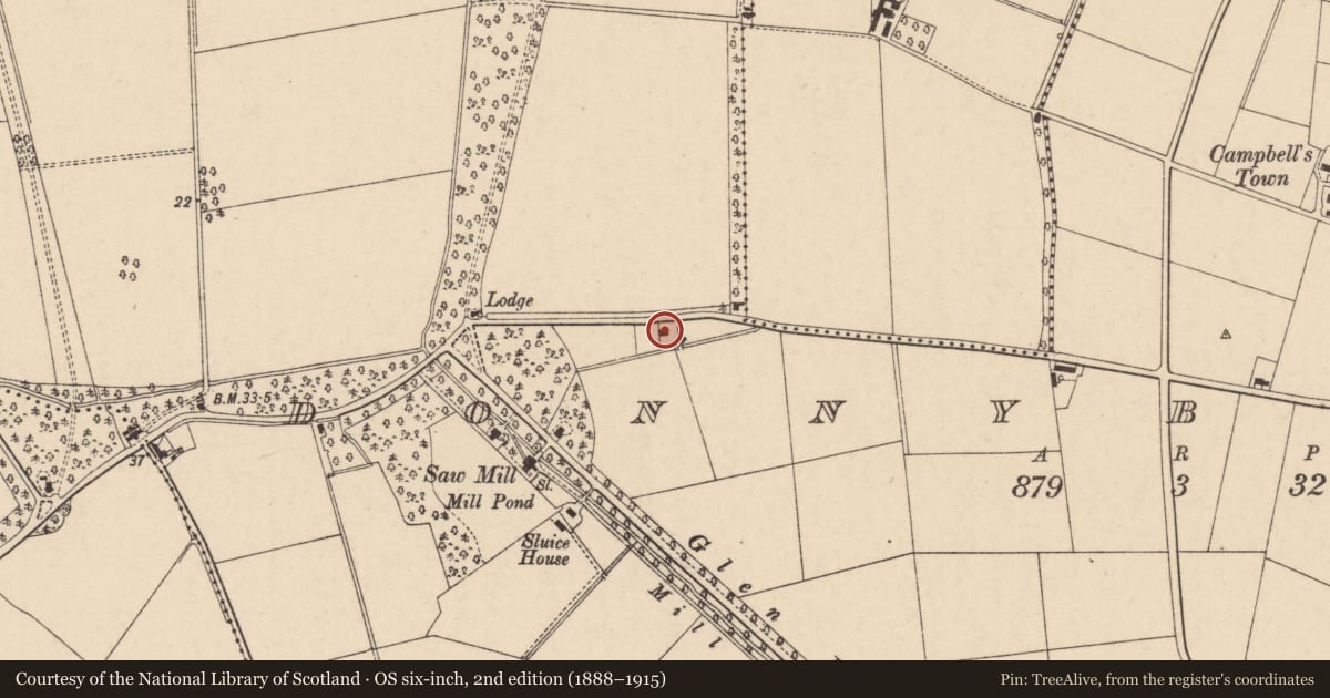 Ordnance Survey six-inch map, 2nd edition (1888–1915) covering the location of 103 Donnybrewer Road, Derry City and Strabane, with a pin at the register's coordinates