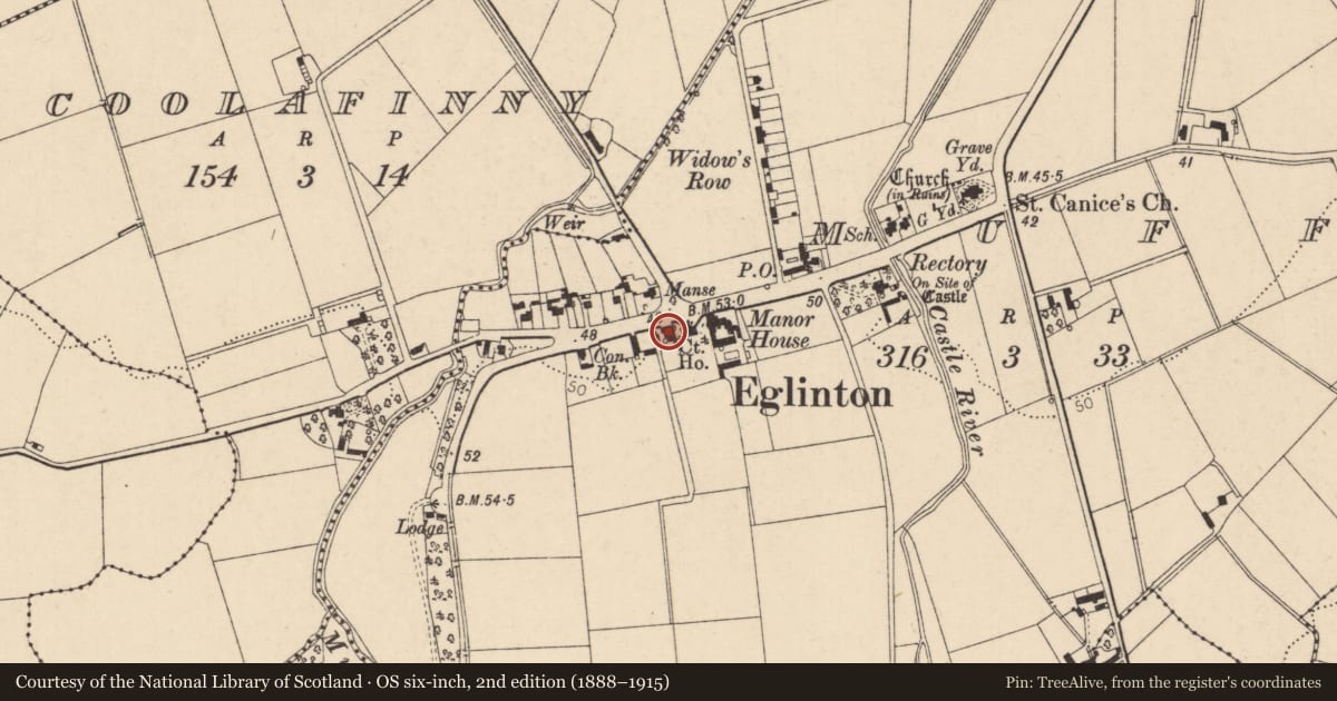 Ordnance Survey six-inch map, 2nd edition (1888–1915) covering the location of Glen House, Derry City and Strabane, with a pin at the register's coordinates