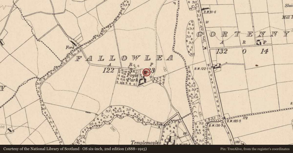 Ordnance Survey six-inch map, 2nd edition (1888–1915) covering the location of Foyle Park, Fallowlea, Derry City and Strabane, with a pin at the register's coordinates