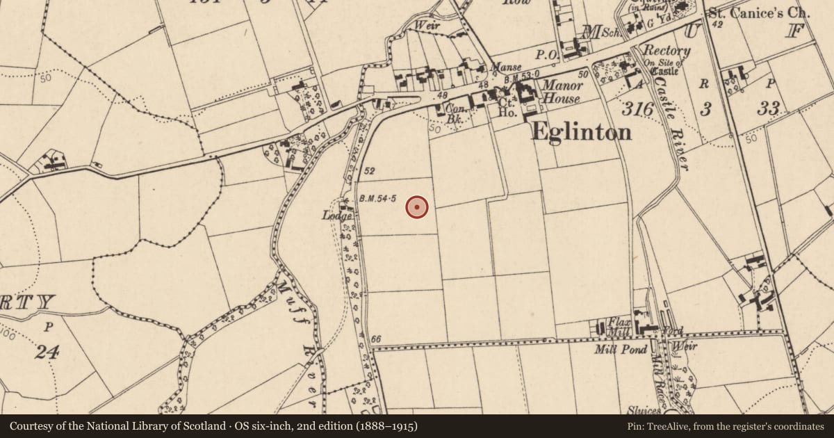 Ordnance Survey six-inch map, 2nd edition (1888–1915) covering the location of Eglinton Primary School, Derry City and Strabane, with a pin at the register's coordinates