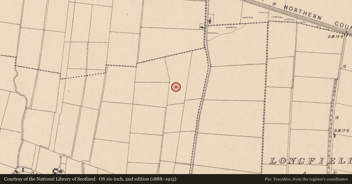 Ordnance Survey six-inch map, 2nd edition (1888–1915) covering the location of Hangar opposite Eglinton Equestrian Club, Donnybrewer, Derry City and Strabane, with a pin at the register's coordinates