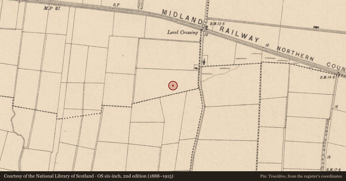 Ordnance Survey six-inch map, 2nd edition (1888–1915) covering the location of Hangar, Donnybrewer Level, Derry City and Strabane, with a pin at the register's coordinates