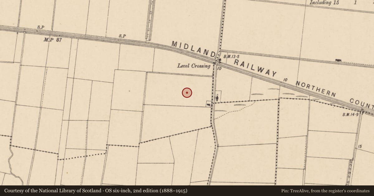 Ordnance Survey six-inch map, 2nd edition (1888–1915) covering the location of Hangar, Donnybrewer Level, Derry City and Strabane, with a pin at the register's coordinates
