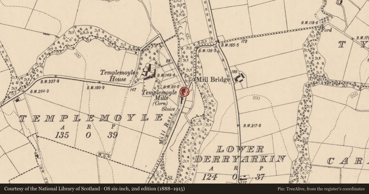 Ordnance Survey six-inch map, 2nd edition (1888–1915) covering the location of Grocer's Mill, Templemoyle, Derry City and Strabane, with a pin at the register's coordinates
