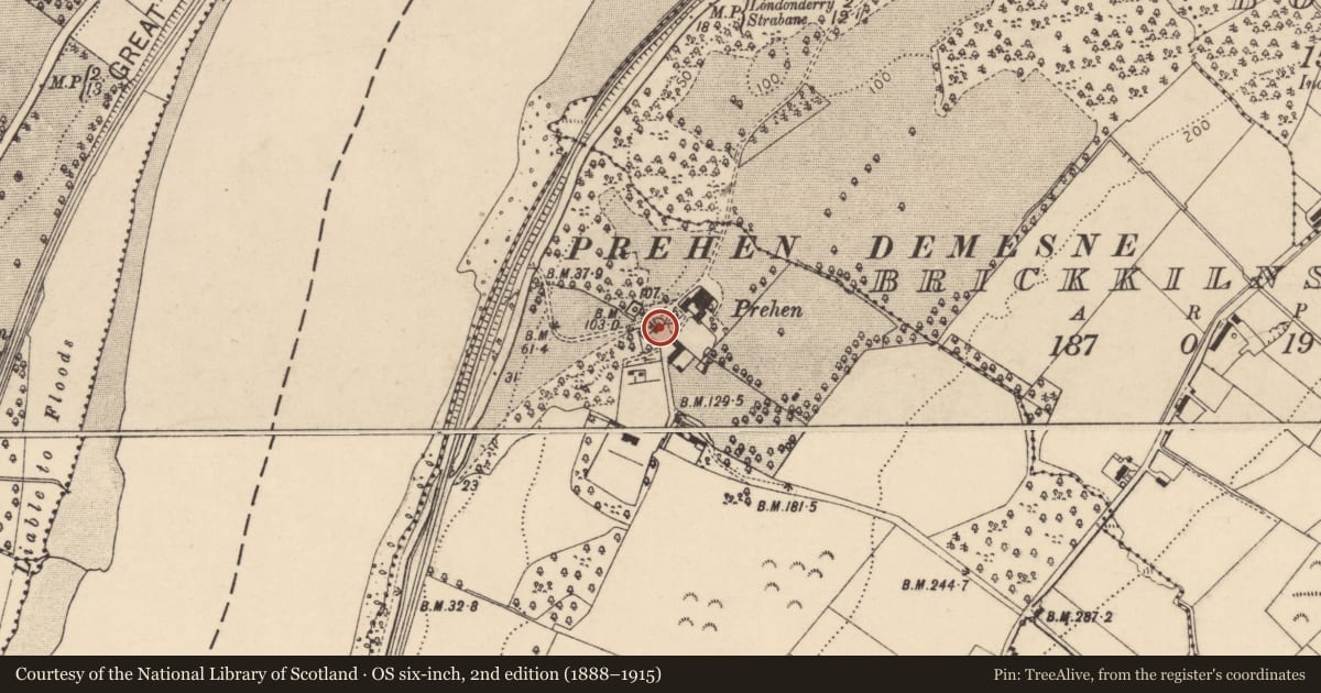 Ordnance Survey six-inch map, 2nd edition (1888–1915) covering the location of The Coach House, Prehen, Derry City and Strabane, with a pin at the register's coordinates