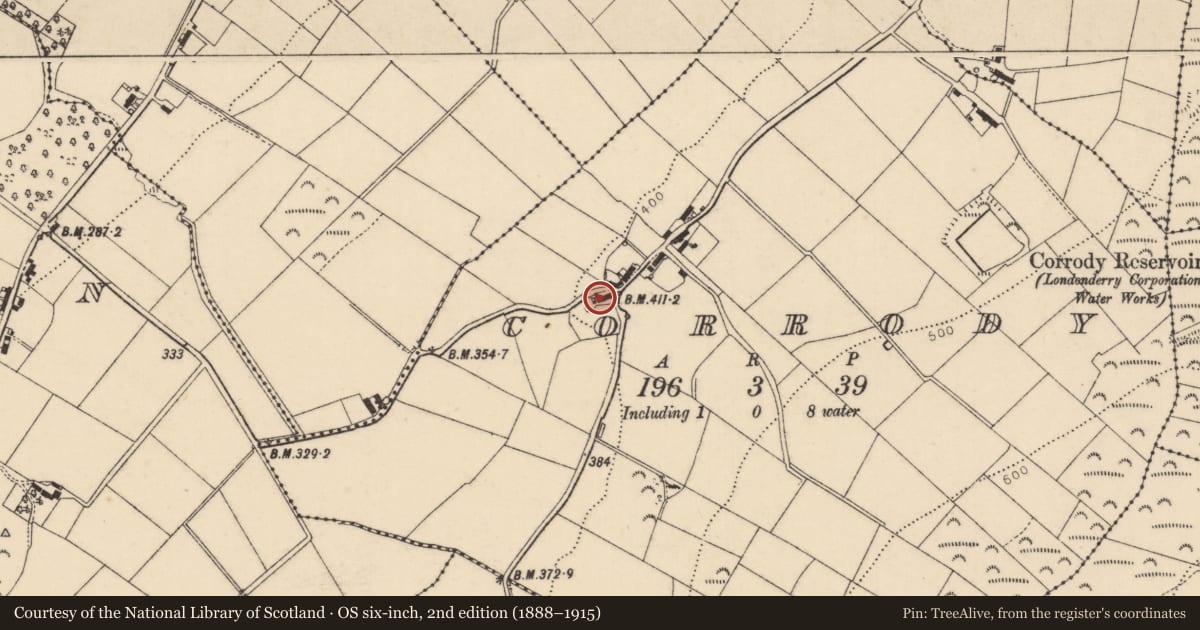 Ordnance Survey six-inch map, 2nd edition (1888–1915) covering the location of Corrody TD, Derry City and Strabane, with a pin at the register's coordinates