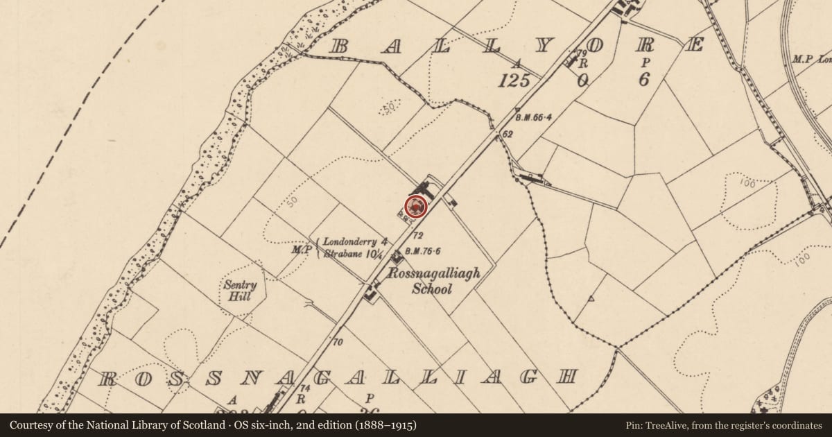 Ordnance Survey six-inch map, 2nd edition (1888–1915) covering the location of 94 Victoria Road, Rossnagalliagh, Derry City and Strabane, with a pin at the register's coordinates