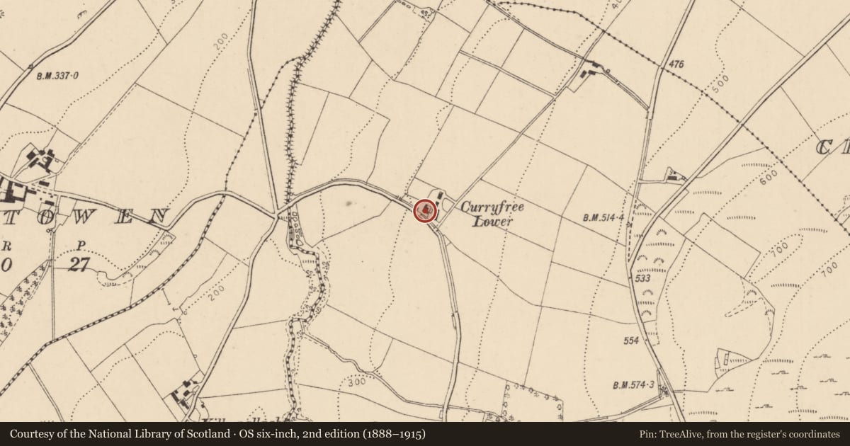 Ordnance Survey six-inch map, 2nd edition (1888–1915) covering the location of 22 Disertowen Road, Derry City and Strabane, with a pin at the register's coordinates