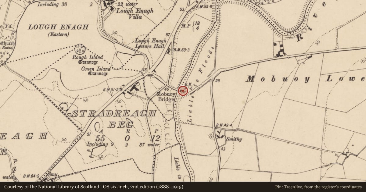 Ordnance Survey six-inch map, 2nd edition (1888–1915) covering the location of Mobuoy Bridge, Maydown/Mobuoy, Derry City and Strabane, with a pin at the register's coordinates