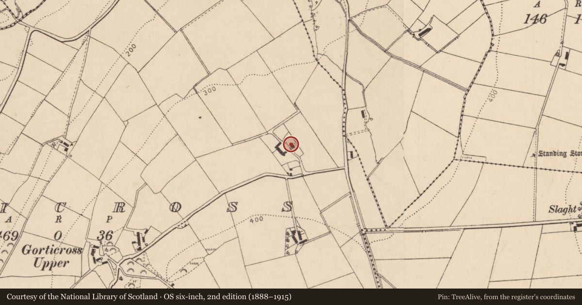Ordnance Survey six-inch map, 2nd edition (1888–1915) covering the location of 124 Gortree Road, Gorticross, Derry City and Strabane, with a pin at the register's coordinates