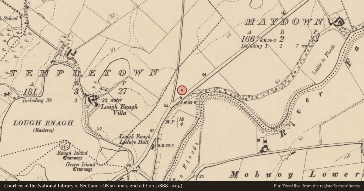 Ordnance Survey six-inch map, 2nd edition (1888–1915) covering the location of Maydown & Strathfoyle Primary School, Derry City and Strabane, with a pin at the register's coordinates