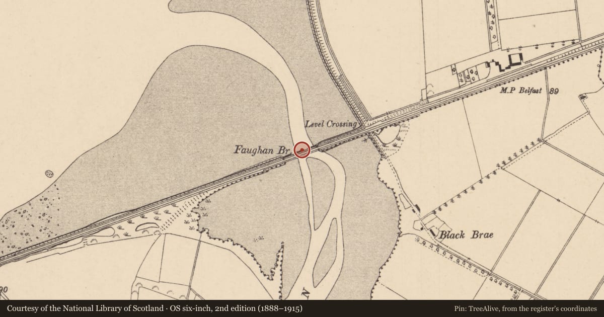 Ordnance Survey six-inch map, 2nd edition (1888–1915) covering the location of Faughan Railway Bridge, Coolkeeragh, Derry City and Strabane, with a pin at the register's coordinates