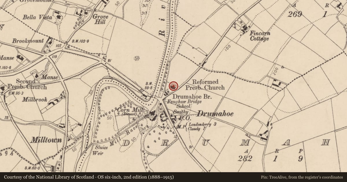 Ordnance Survey six-inch map, 2nd edition (1888–1915) covering the location of Faughanbridge Reformed Presbyterian Church Drumahoe, Derry City and Strabane, with a pin at the register's coordinates