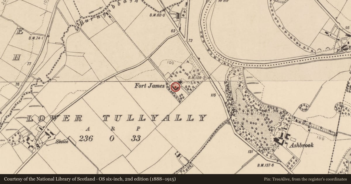 Ordnance Survey six-inch map, 2nd edition (1888–1915) covering the location of Fort James, Lower Tullyally, Derry City and Strabane, with a pin at the register's coordinates