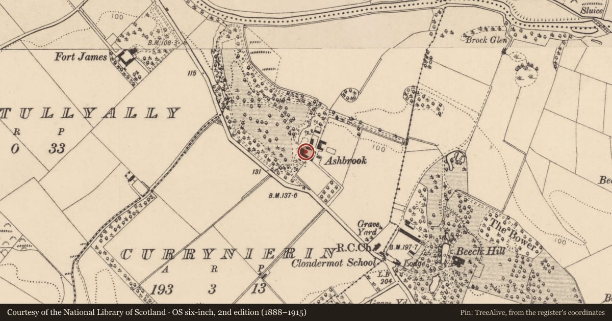 Ordnance Survey six-inch map, 2nd edition (1888–1915) covering the location of ASHBROOK, Derry City and Strabane, with a pin at the register's coordinates