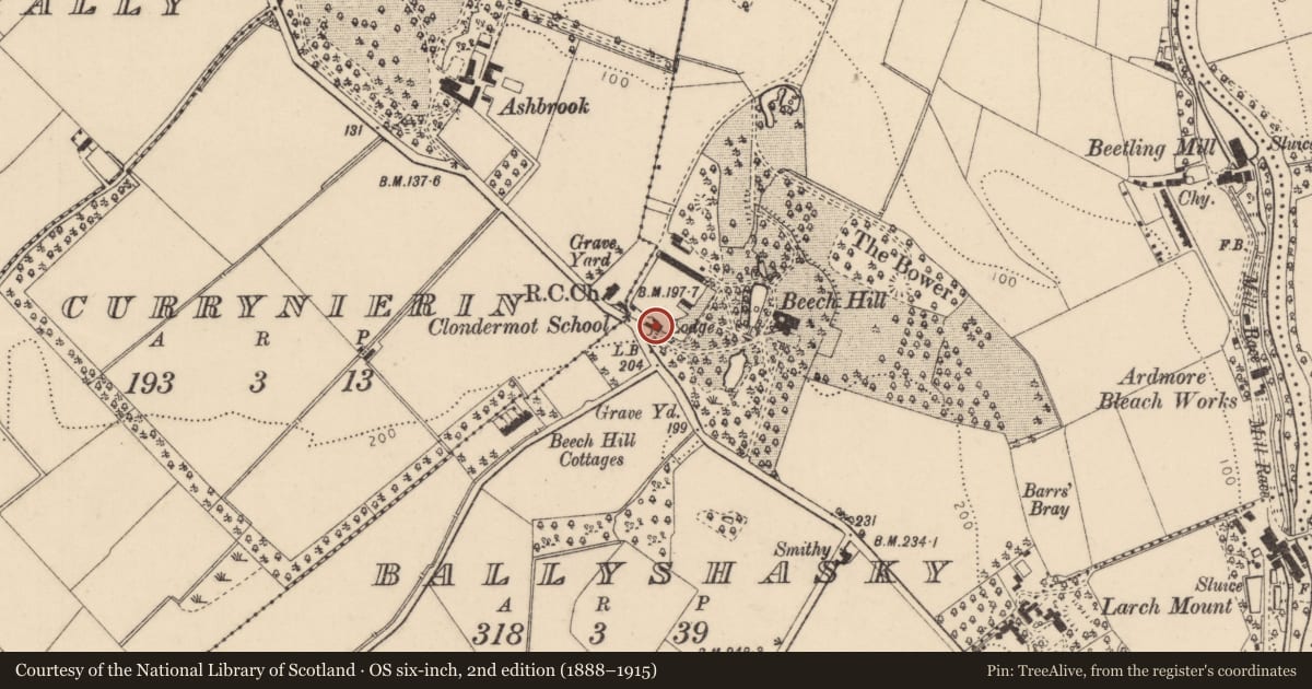 Ordnance Survey six-inch map, 2nd edition (1888–1915) covering the location of 30 Ardmore Road, Ballyshasky, Derry City and Strabane, with a pin at the register's coordinates