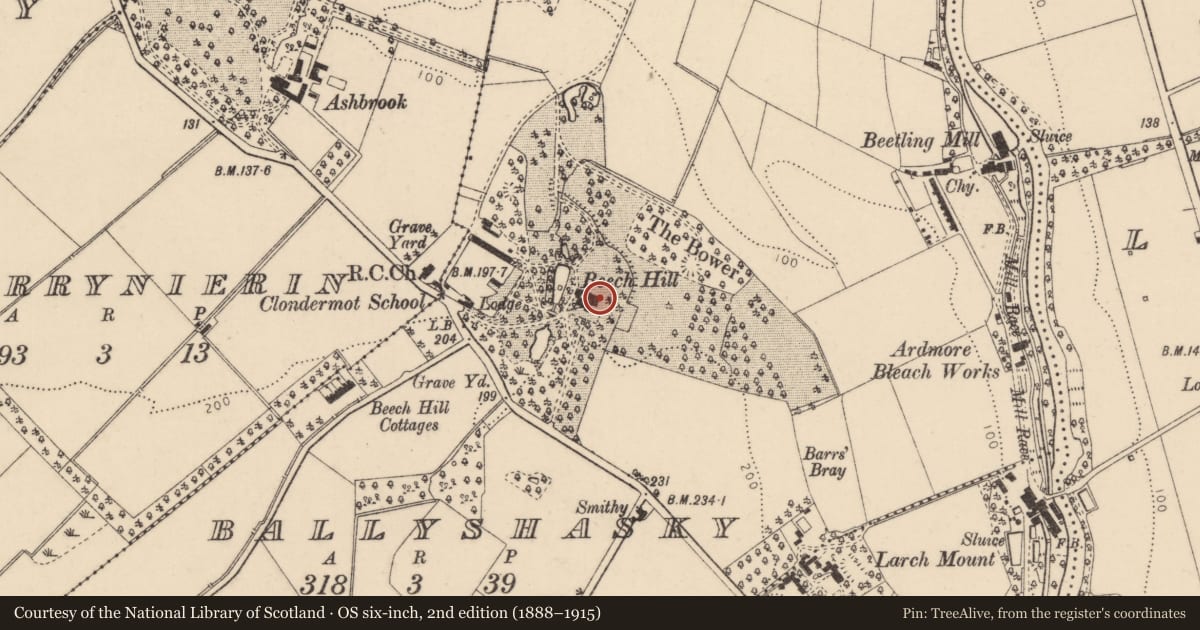 Ordnance Survey six-inch map, 2nd edition (1888–1915) covering the location of Beech Hill, Ballyshasky, Derry City and Strabane, with a pin at the register's coordinates