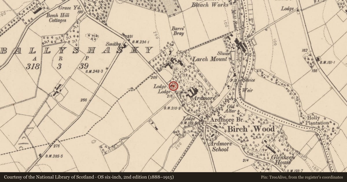 Ordnance Survey six-inch map, 2nd edition (1888–1915) covering the location of Lodge, Derry City and Strabane, with a pin at the register's coordinates