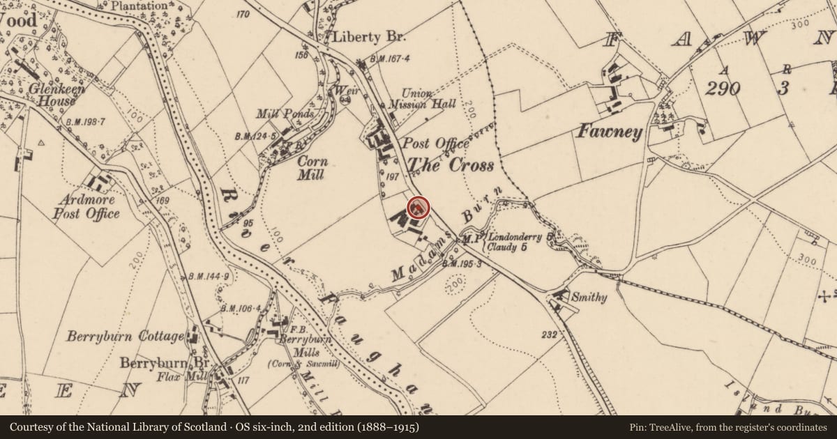 Ordnance Survey six-inch map, 2nd edition (1888–1915) covering the location of The Cross, Derry City and Strabane, with a pin at the register's coordinates