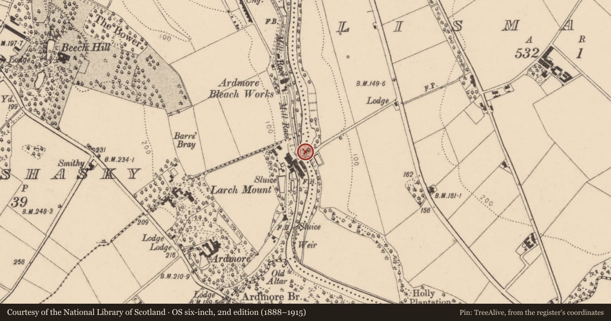 Ordnance Survey six-inch map, 2nd edition (1888–1915) covering the location of Bridge and works, Derry City and Strabane, with a pin at the register's coordinates