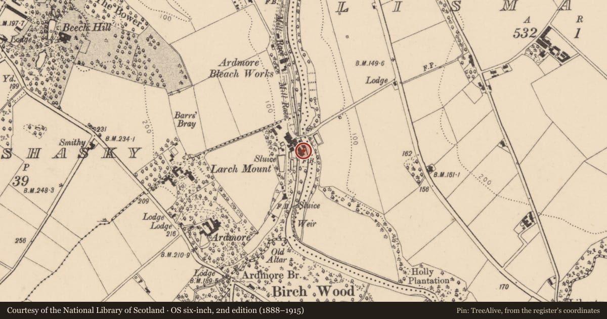 Ordnance Survey six-inch map, 2nd edition (1888–1915) covering the location of Bridge and works, Derry City and Strabane, with a pin at the register's coordinates