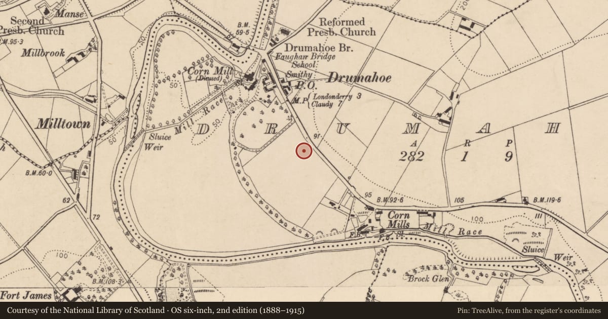 Ordnance Survey six-inch map, 2nd edition (1888–1915) covering the location of Faughan Valley High School, Drumahoe, Derry City and Strabane, with a pin at the register's coordinates