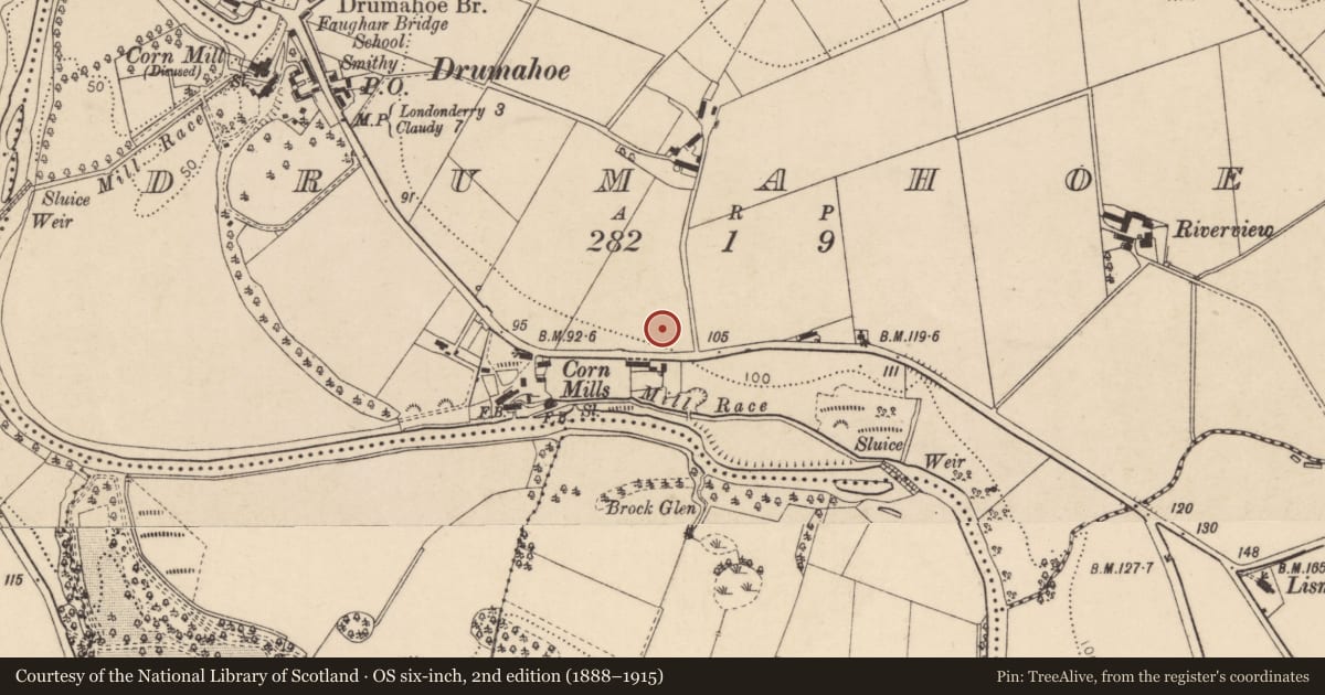 Ordnance Survey six-inch map, 2nd edition (1888–1915) covering the location of Drumahoe Primary School, Derry City and Strabane, with a pin at the register's coordinates